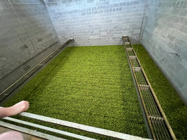 Wolf harvesting and processing system for 175 acres+