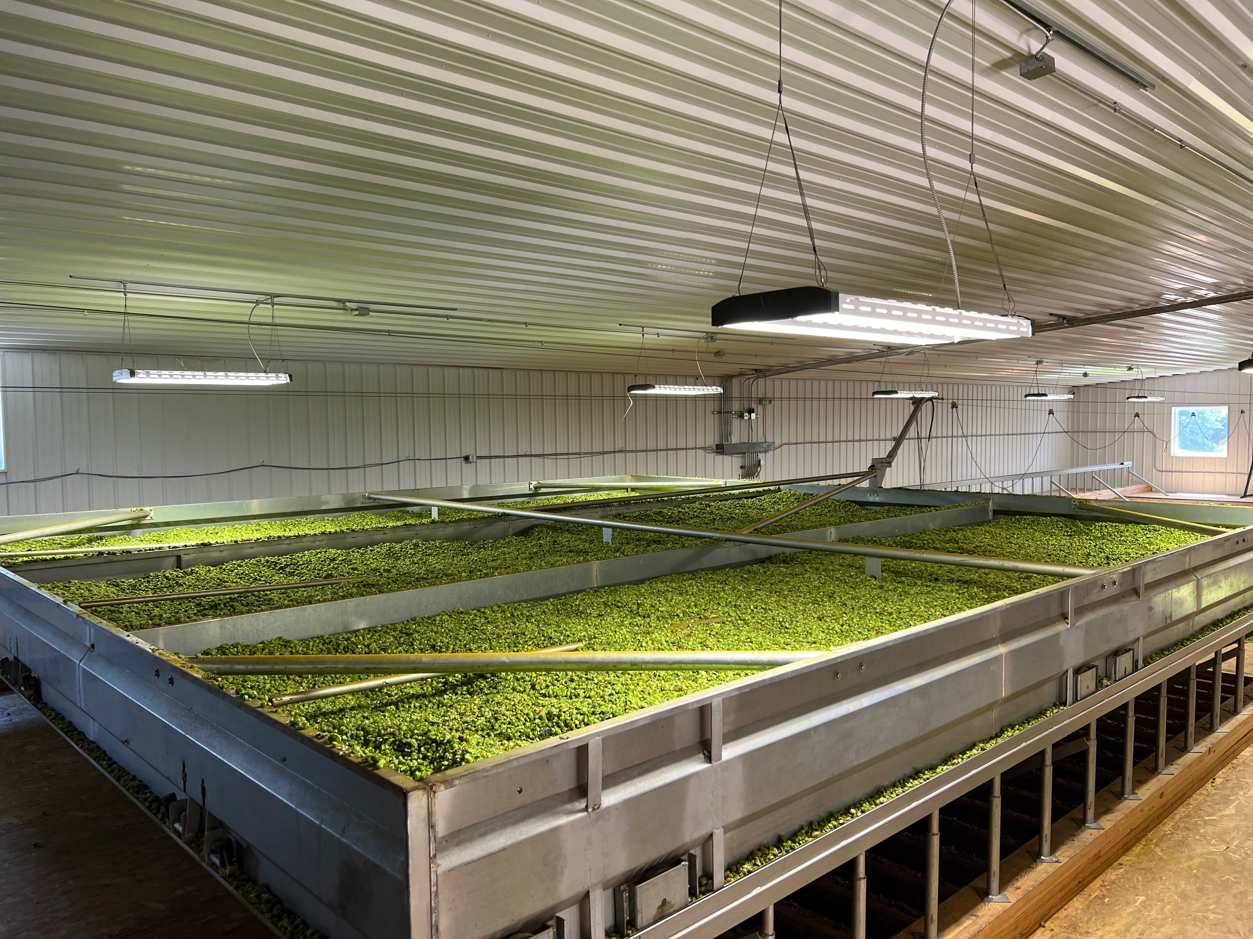 Wolf harvesting and processing system for 175 acres+